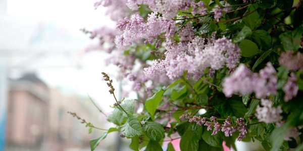 В Приморье сохраняется теплая, но дождливая погода