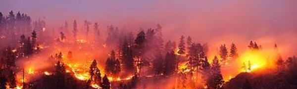 Лесные пожары в Якутии показали из космоса