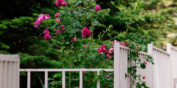 Жара в Приморье усиливается