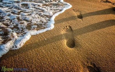 Новые пляжи Приморья вошли в список безопасных мест отдыха