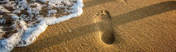 До +24°С прогрелась вода в акватории Владивостока