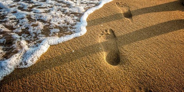 До +24°С прогрелась вода в акватории Владивостока