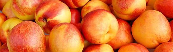 Владивостокцев приглашают на городскую продуктовую ярмарку