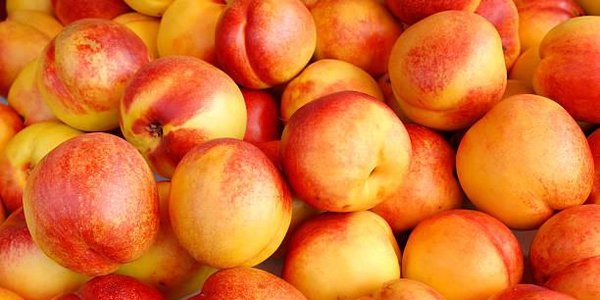 Владивостокцев приглашают на городскую продуктовую ярмарку