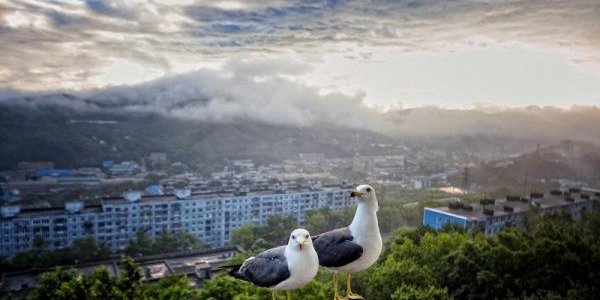 В выходные погода в Приморье будет переменчива