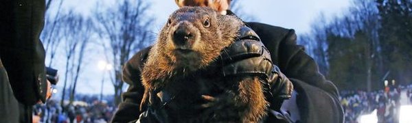 Ещё шесть недель зимы: сурок Фил увидел свою тень