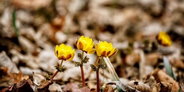 Тёплая без осадков погода сохраняется в Приморье