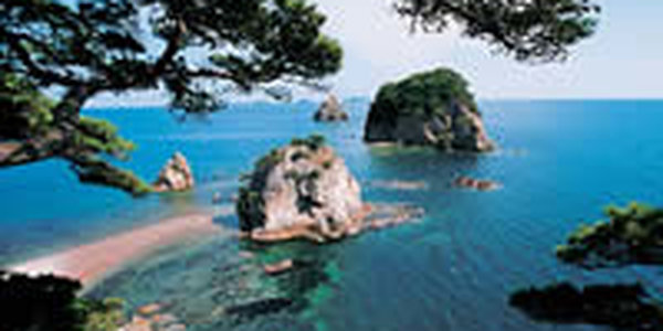 Температура воды в заливе Петра Великого в пределах нормы