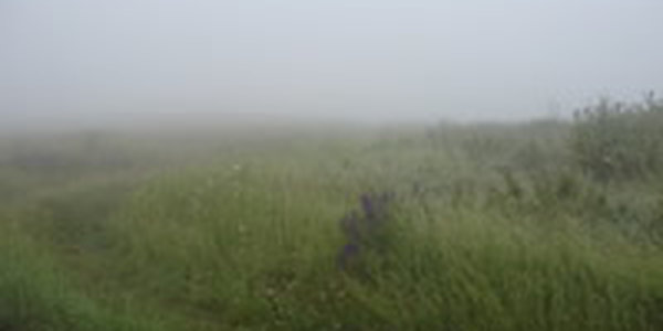 В Приморье сохраняется неустройчивый характер погоды