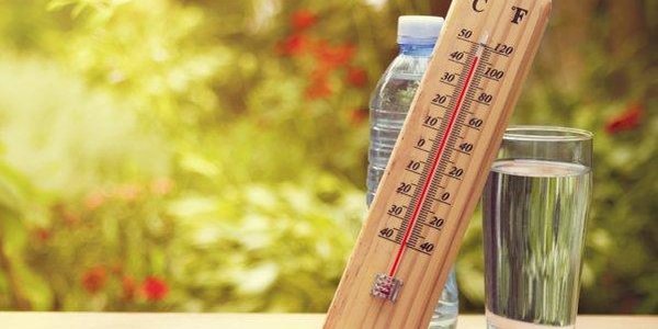 Август 2016 года стал самым жарким месяцем за последние 136 лет