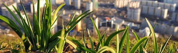 Чем дышал Владивосток с 11 по 20 апреля?