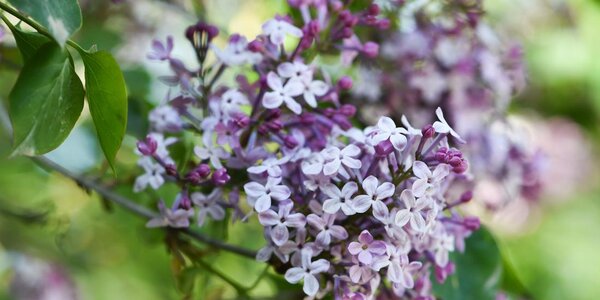 Синоптики уточнили прогноз погоды на последние выходные весны в Приморье