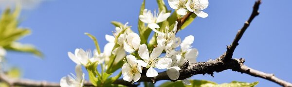 Стало известно, с какой погоды начнется лето в Приморье