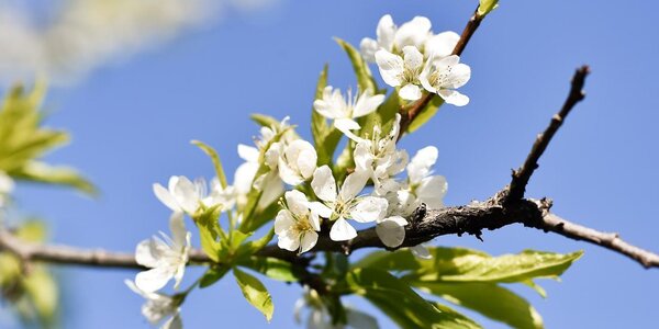 Стало известно, с какой погоды начнется лето в Приморье