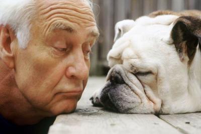 Собаки спасают людей от старения и депрессий