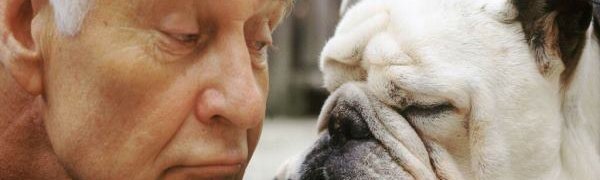 Собаки спасают людей от старения и депрессий