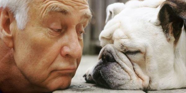 Собаки спасают людей от старения и депрессий