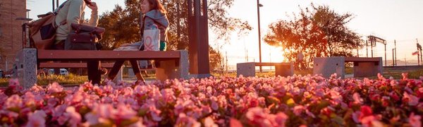 Во Владивостоке в этом году обустроят семь общественных территорий