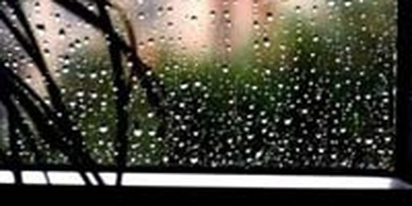 После теплых выходных Владивосток умоет дождем