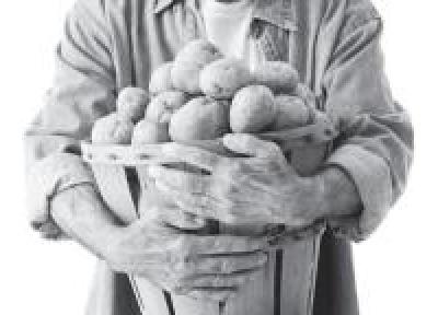Картофель в Приморье следует садить на 5-10 дней позже