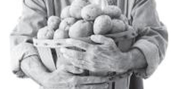 Картофель в Приморье следует садить на 5-10 дней позже