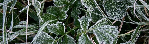 За прошедшие сутки в Приморье зафиксировано колоссальное похолодание на 3 – 8 градусов