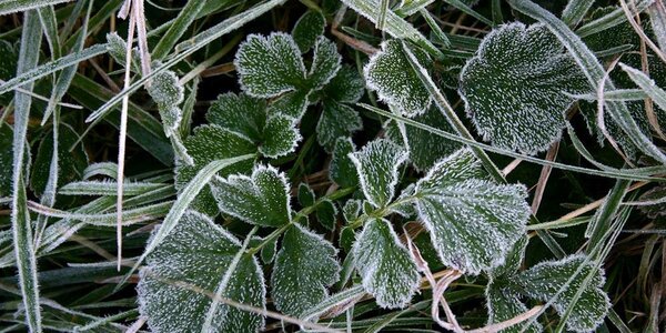 За прошедшие сутки в Приморье зафиксировано колоссальное похолодание на 3 – 8 градусов