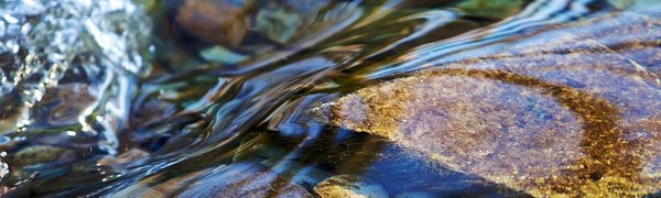 На реках Приморья наблюдается постепенный подъём воды