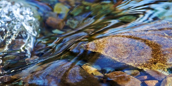 На реках Приморья наблюдается постепенный подъём воды