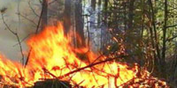 Приморский край готовится к осеннему пожароопасному сезону