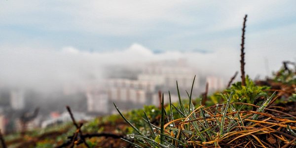 Завтра в Приморье придут тепло и туманы