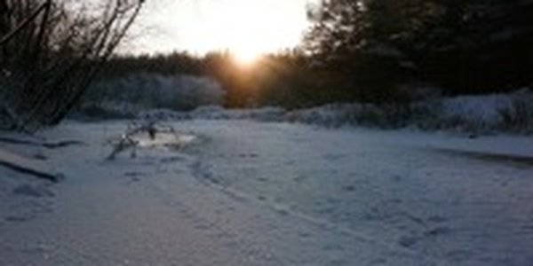 Зима уходит, но морозы остаются. Каким выдался февраль 2010г. в Приморье?