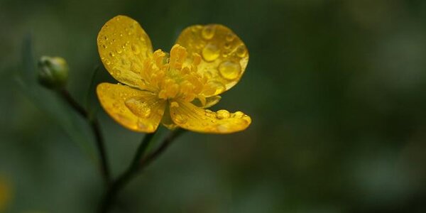 Небольшие дожди продолжатся местами в Приморье во вторник
