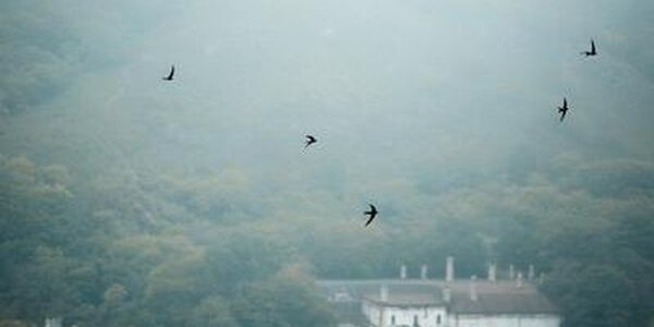 На выходных существенных осадков на побережье Приморья не ожидается