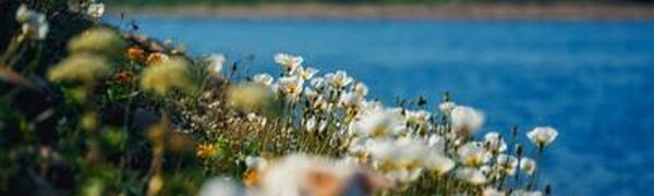 Во Владивостоке среда стала самым теплым днем на этой неделе