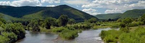 Паводковая ситуация на реках Приморья начала стабилизироваться