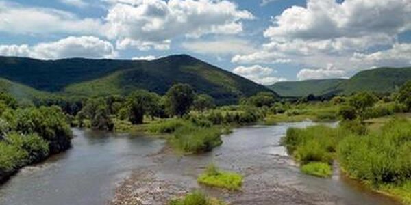 Паводковая ситуация на реках Приморья начала стабилизироваться