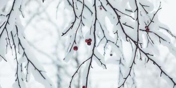 До одного метра снега выпало в Ольгинском районе