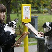 В Москве владельцам собак придется убирать за своими питомцами (ФОТО)