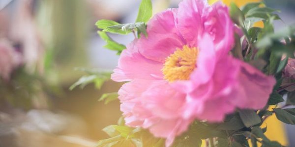 Прогноз на выходные: какой будет погода в Приморье в первые дни июня