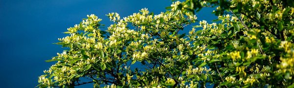 Начало лета не сулит устойчивой погоды жителям Приморья