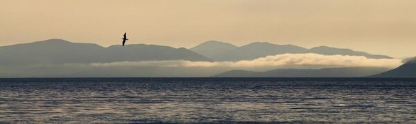 Циклон выйдет на Приморье в пятницу. Прогноз погоды на рабочую неделю на Примпогоде