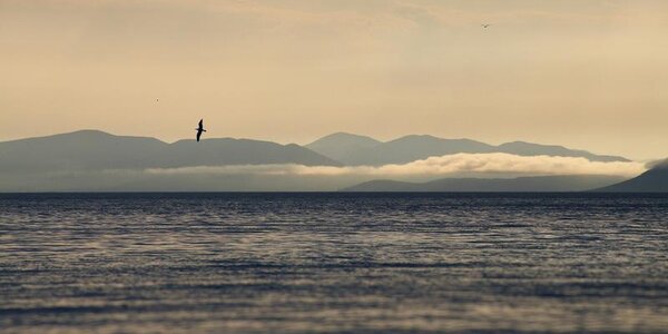 Циклон выйдет на Приморье в пятницу. Прогноз погоды на рабочую неделю на Примпогоде