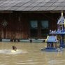 Таиланд страдает от катастрофического наводнения