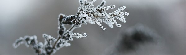 В пятницу в Приморье немного похолодает