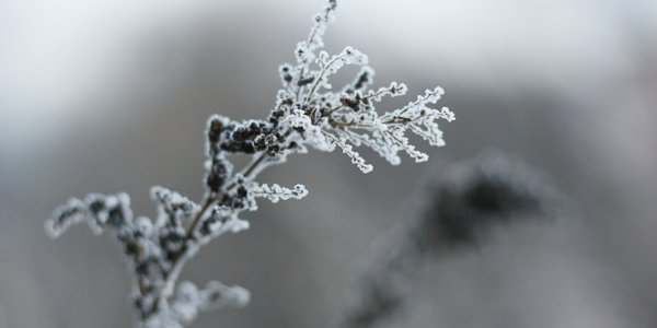 В пятницу в Приморье немного похолодает