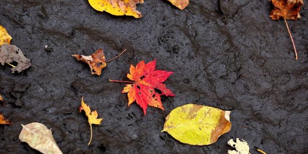 В субботу в Приморье без осадков, в воскресенье – дожди
