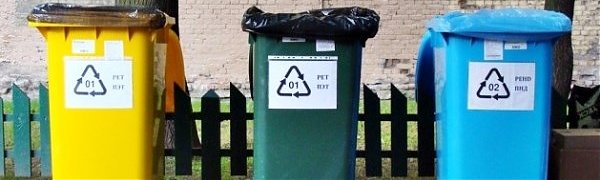 Систему раздельного сбора мусора внедрят в Приморье