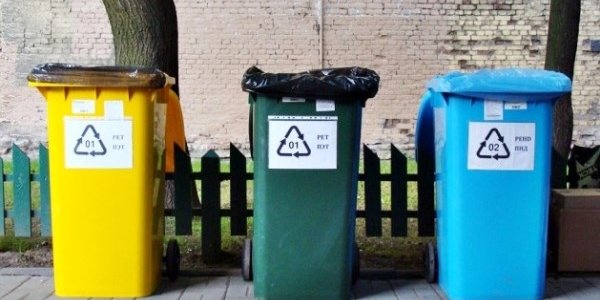 Систему раздельного сбора мусора внедрят в Приморье
