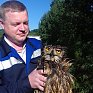В Приморье спасли краснокнижного филина